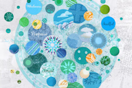 Illustration by Martin O’Neill. A vibrant abstract artwork featuring an array of colourful circles with patterns and textures. Words like "Wholeness," "Purpose," "Trust," and "Soulful" are integrated within the design, representing interconnected values and concepts. The background is a blend of soft blues and whites with intricate details, evoking a sense of harmony and inspiration.